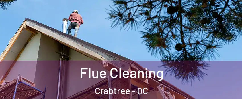  Flue Cleaning Crabtree - QC