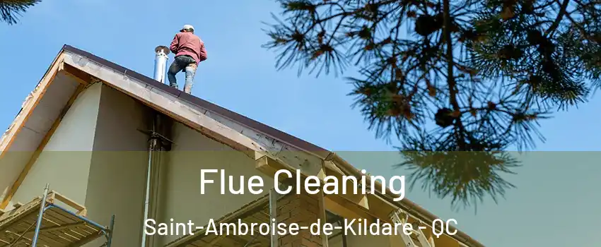  Flue Cleaning Saint-Ambroise-de-Kildare - QC