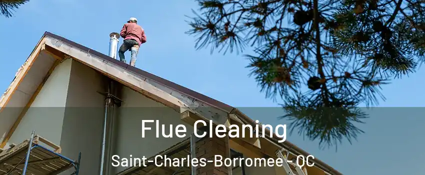  Flue Cleaning Saint-Charles-Borromee - QC