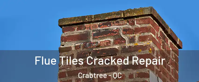  Flue Tiles Cracked Repair Crabtree - QC