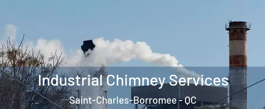  Industrial Chimney Services Saint-Charles-Borromee - QC