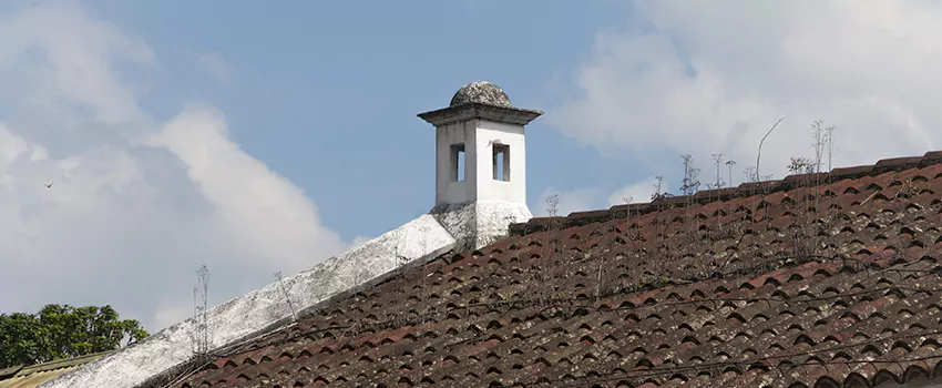 Wind-Resistant Chimney Caps Installation and Repair Services in Crabtree, Quebec