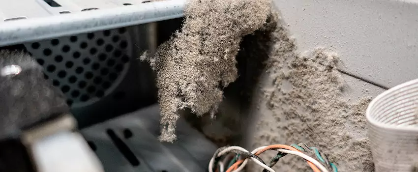 Clogged Dryer Vent Lint Cleaning in Crabtree, Quebec