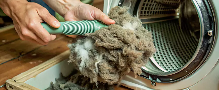 Best Dryer Lint Removal Company in Crabtree, Quebec