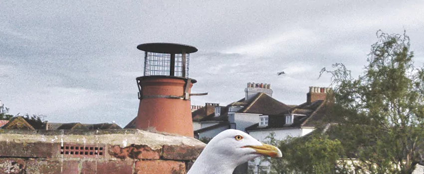 Chimney Cap Bird Guard Repair in Crabtree, Quebec