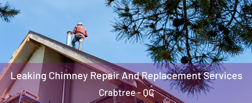  Leaking Chimney Repair And Replacement Services Crabtree - QC