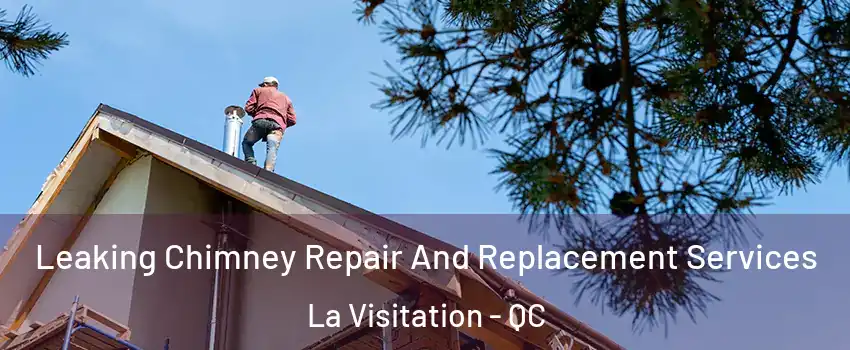  Leaking Chimney Repair And Replacement Services La Visitation - QC