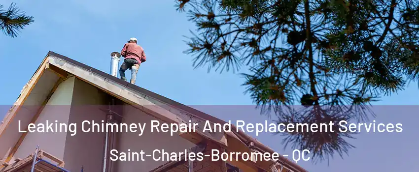  Leaking Chimney Repair And Replacement Services Saint-Charles-Borromee - QC