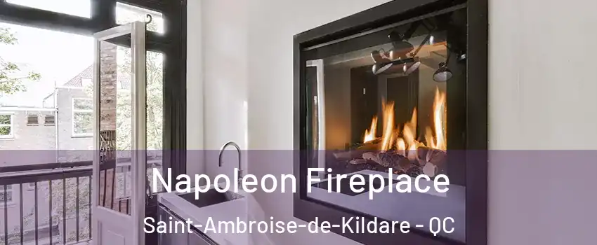 Napoleon Fireplace Saint-Ambroise-de-Kildare - QC