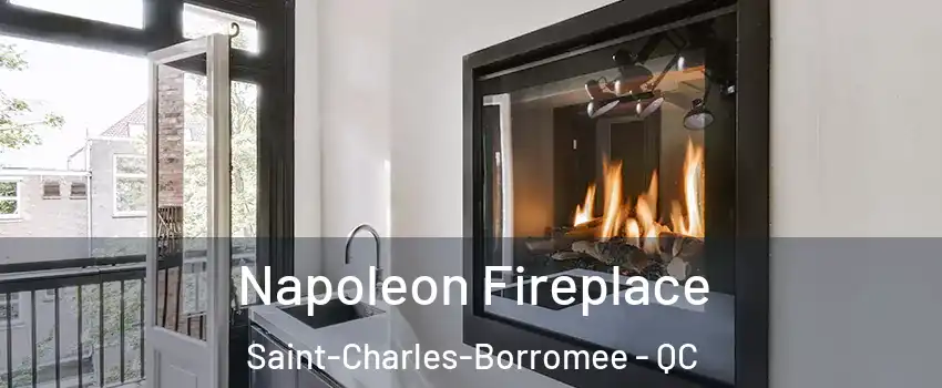  Napoleon Fireplace Saint-Charles-Borromee - QC
