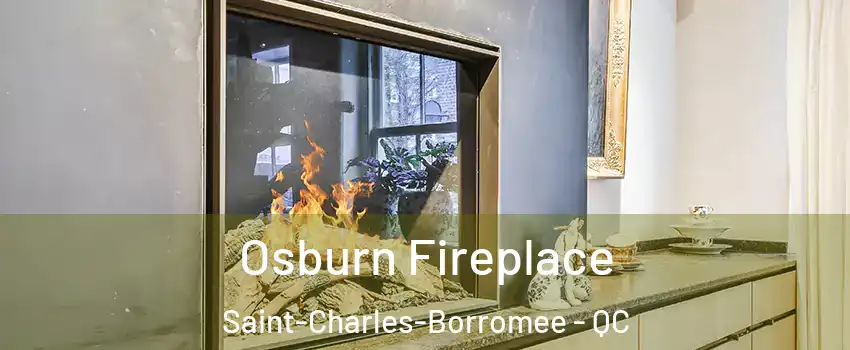  Osburn Fireplace Saint-Charles-Borromee - QC