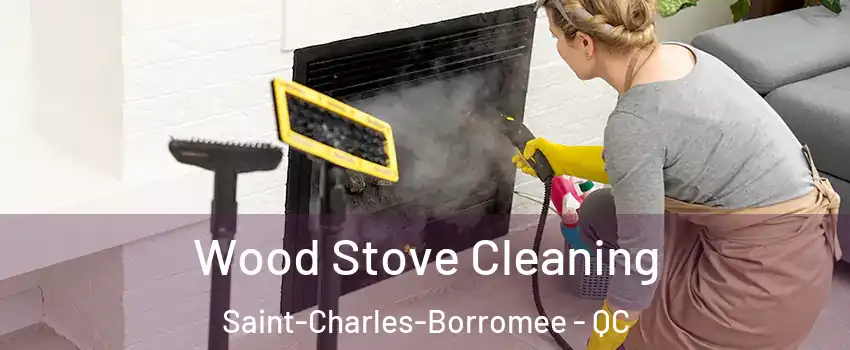  Wood Stove Cleaning Saint-Charles-Borromee - QC